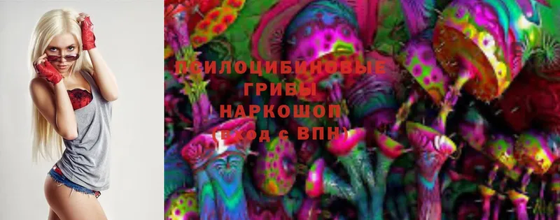 Псилоцибиновые грибы Cubensis  МЕГА вход  Камбарка 